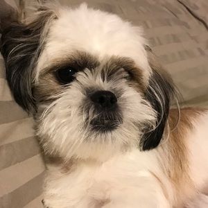 Meet your Posher, Jill